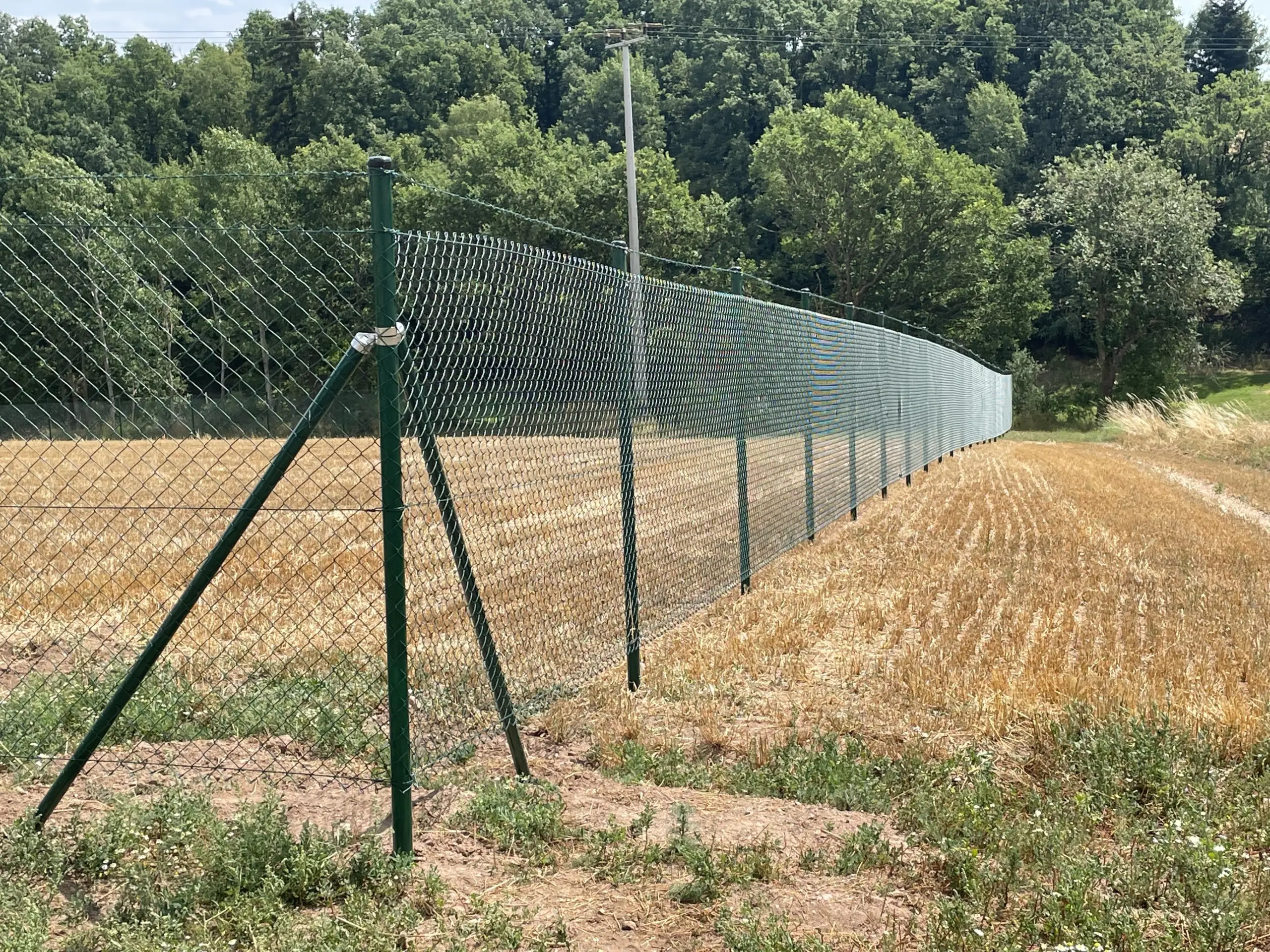 Flexibler Maschendrahtzaun vom regionalen Zaunbauer in der Nähe Maschendrahtzaun in der Nähe – bewährt und vielseitig