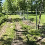 Wildschutzzaun in der Nähe – effektiver Schutz für Ihr Grundstück