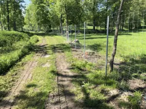 Wildschutzzaun in der Nähe – effektiver Schutz für Ihr Grundstück